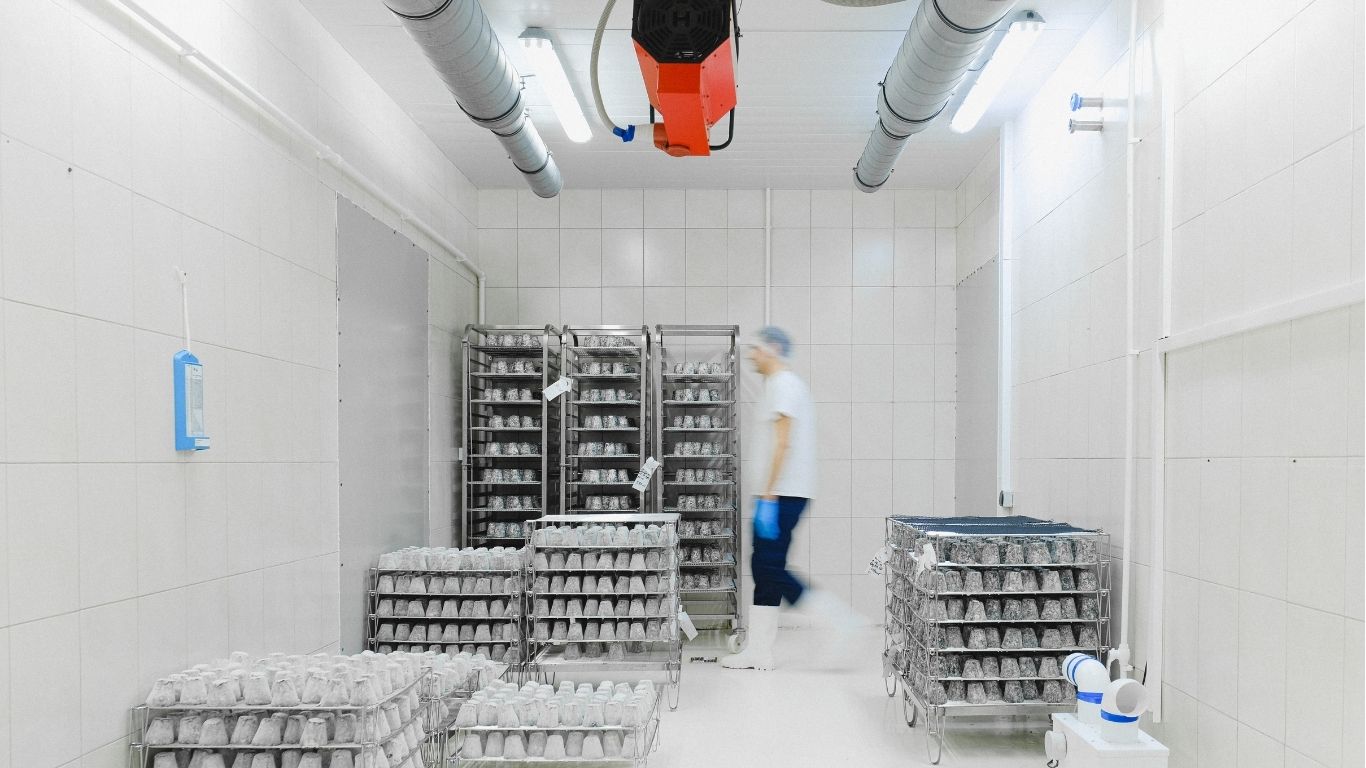 COLD STORAGE AND BEVERAGE SOLUTIONS - Image 2
