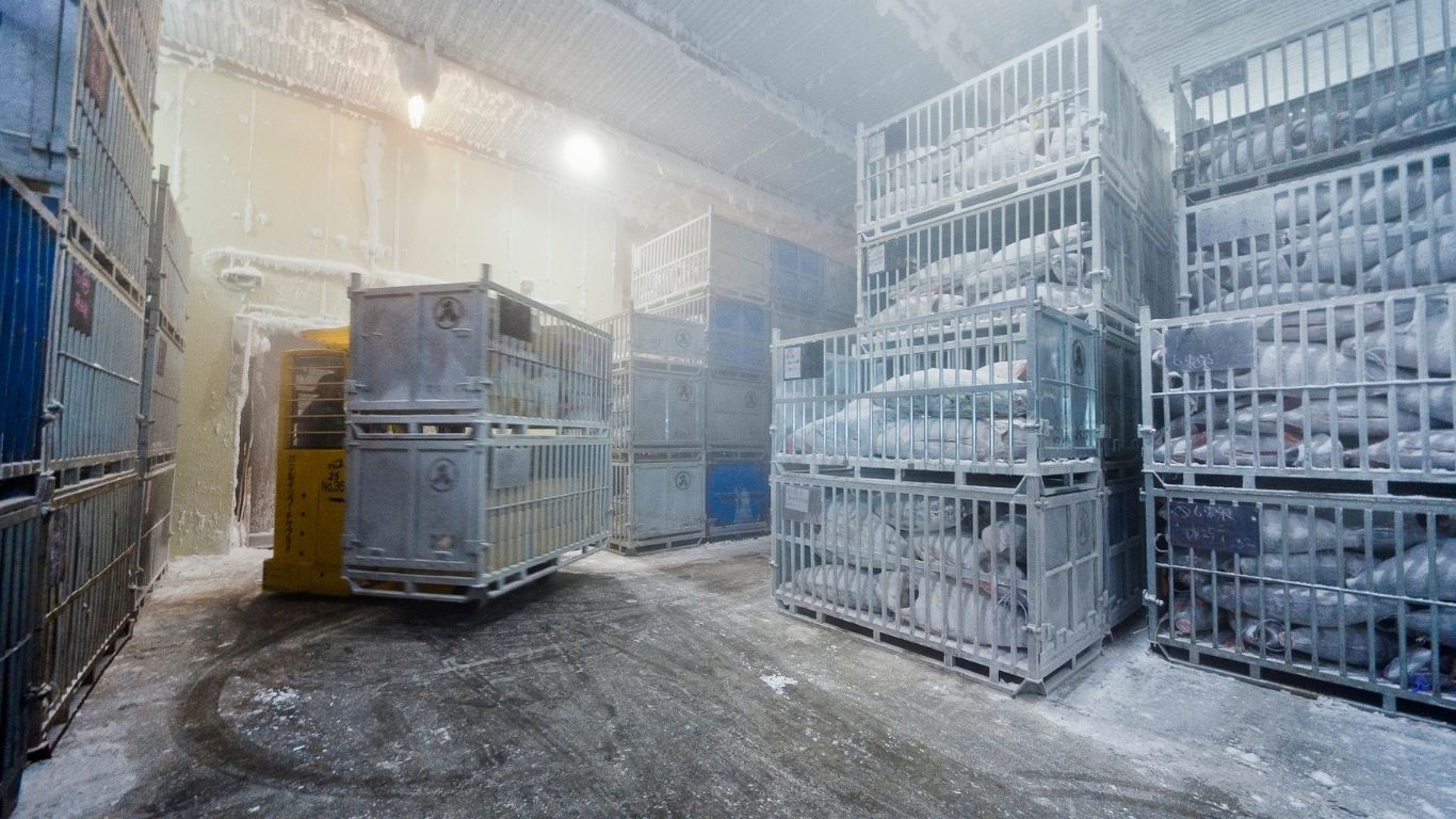 COLD STORAGE AND BEVERAGE SOLUTIONS - Image 3
