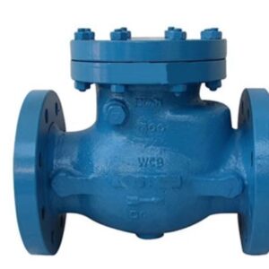 Check valves are widely used in commercial refrigeration, industrial refrigeration, cold rooms, cold storage systems, chillers, freezers, condensing units, heat pumps, and HVAC-R equipment.